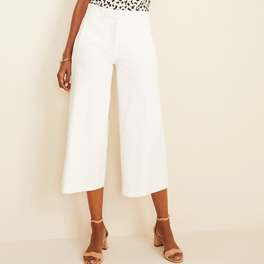 ANN TAYLOR PANTS
